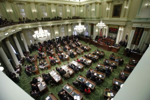 state assembly